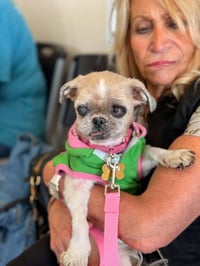 Tilley - Photo 3