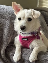 Mae Mae - Photo 4
