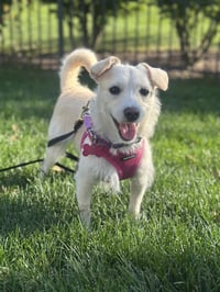 Mae Mae - Photo 1
