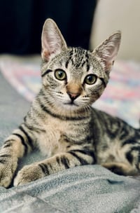 Wally - Photo 3