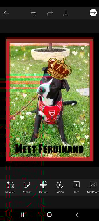 Ferdinand Image