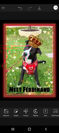 Ferdinand - Photo 1