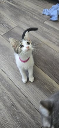 Fiona - Photo 1