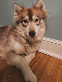 Heidi - ON HOLD - NO MORE APPLICATIONS - Photo 3