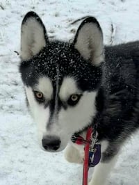 Nick - Photo 2