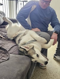 Sadie - ON HOLD - Photo 3