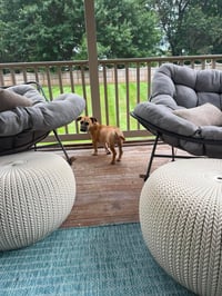 Kallie - Photo 8