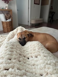 Kallie - Photo 9