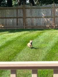 Kallie - Photo 3