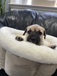 Kallie - Photo 17