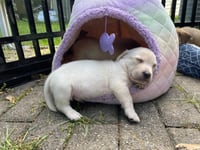 Kai - Photo 18