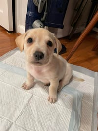 Kai - Photo 16