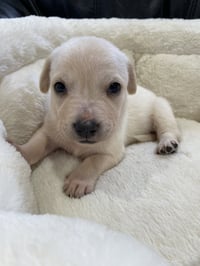 Kai - Photo 24