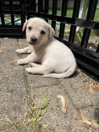 Kai - Photo 17