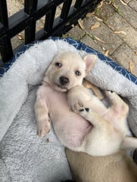 Kai - Photo 25