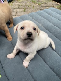 Kai - Photo 20
