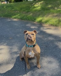 McLovin - Photo 14