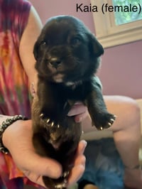 Kaia - Photo 1
