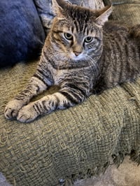 Momma - Photo 6