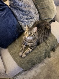 Momma - Photo 5