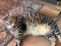 Momma - Photo 4