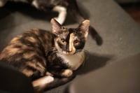 Delancy - Photo 3