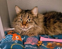 Maggie - Photo 2