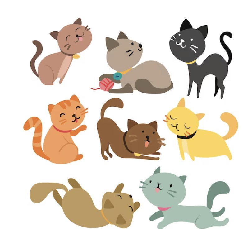 A Cat (generic cat selection) Image