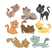 A Cat (generic cat selection) - Photo 1