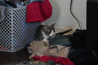Evelyn - Photo 2