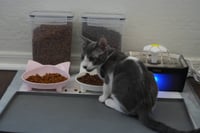 Evelyn - Photo 5
