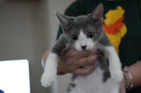 Evelyn - Photo 7