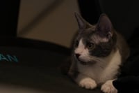 Evelyn - Photo 8
