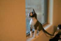 Evelyn - Photo 9