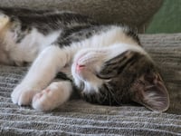 Margot - Photo 3