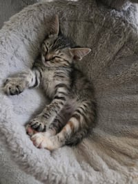 Linda - Photo 3