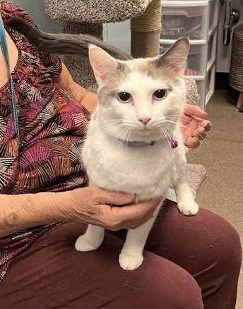 Danke Schön - Photo 4