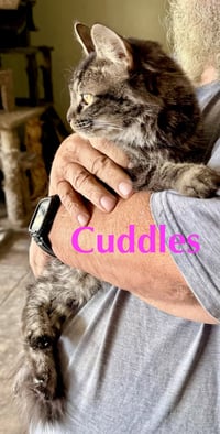 Cuddles - Photo 5