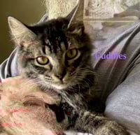 Cuddles - Photo 6