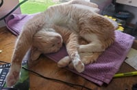 Iroh - Photo 4