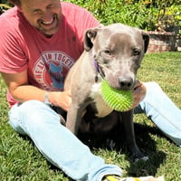 Scottie - Photo 7