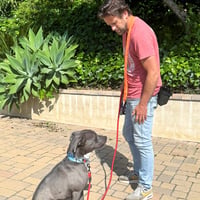 Scottie - Photo 5