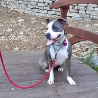 Peggy - Photo 10