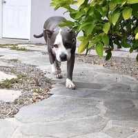 Peggy - Photo 9