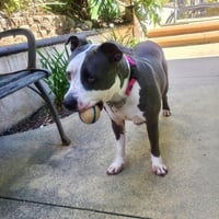 Peggy - Photo 7