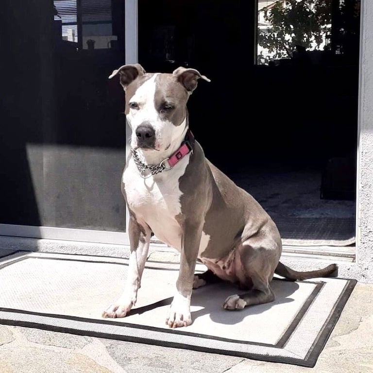 Peggy Image