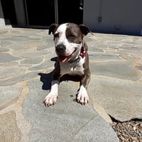 Peggy - Photo 8