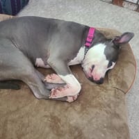 Peggy - Photo 5
