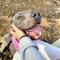Gigi - Photo 6