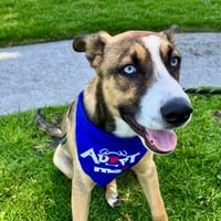 Milo - Photo 1